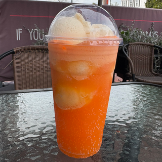 Orange Soda Float